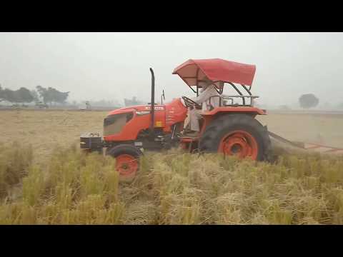 download lagu mp3 mp4 Catter, download lagu Catter gratis, unduh video klip Catter