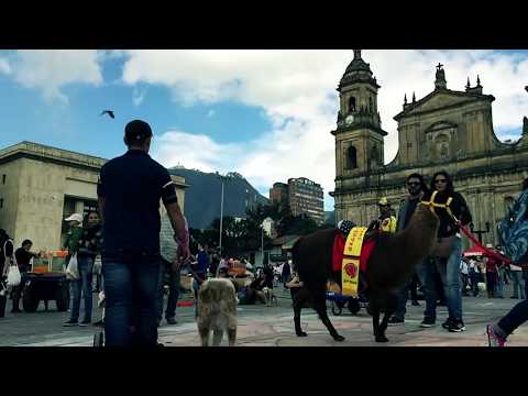 SONIA – La mañana [ Videoclip Oficial ] @Soniamusicaoficial