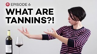Wine Folly: Tannins in Wine (Ep.6)