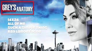 Grey&#39;s Anatomy Soundtrack - &quot;Such A Simple Thing&quot; by Ray LaMontagne (14x24)