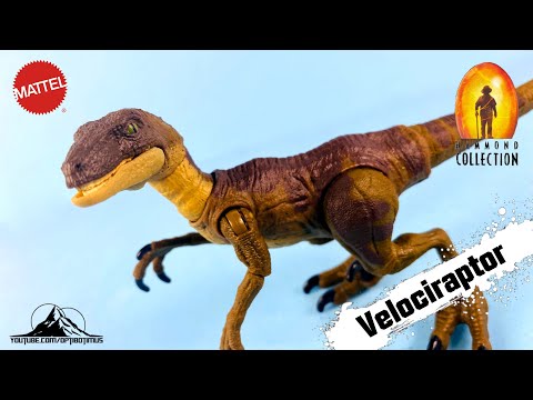 Jurassic Park Hammond Collection VELOCIRAPTOR Video Review