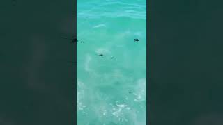 Download lagu August 3, 2022 mp3