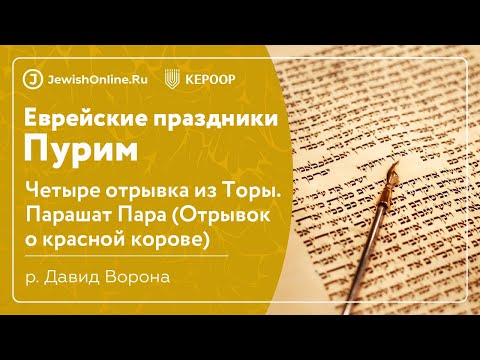 Еврейские праздники: Четыре отрывка из Торы. Урок 3: Парашат Пара (Отрывок о красной корове)