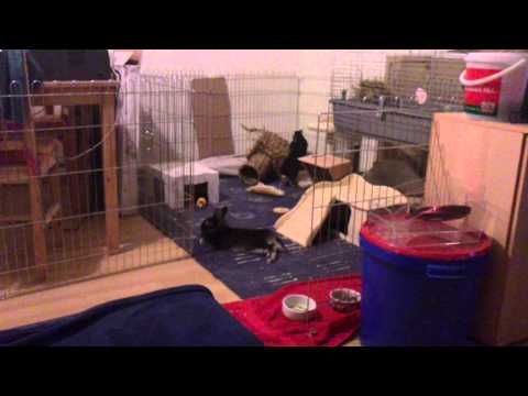 Jamie-Lee streckt sich