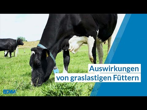 Das Zusammenspiel zwischen Klima und Weidehaltung