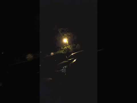 JOJO VS BAM DOLLARZ ( FREESTYLE BATTLE )