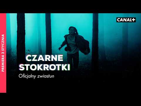 Czarne Stokrotki (2025)