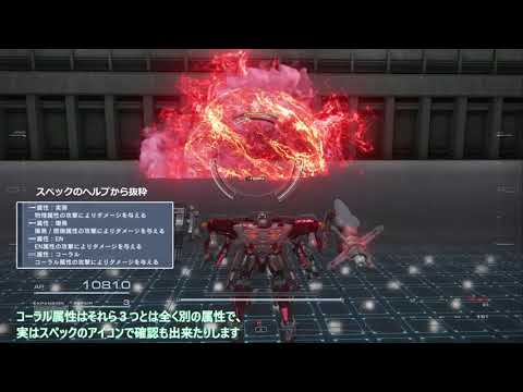 ミレポラ sp.紅海のダハブ近郊