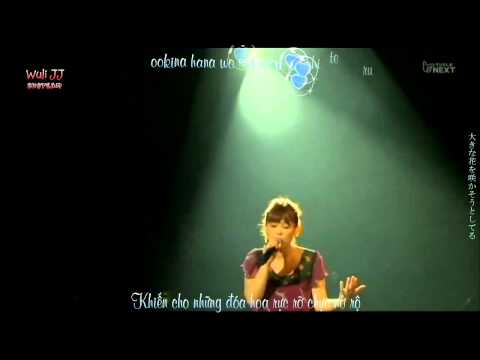Minna Sora No Shita video