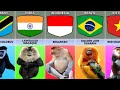 Monkey Breeds From Different Countries