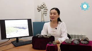 Палеолиттік Бөріқазған және Тәңірқазған тұрақтары