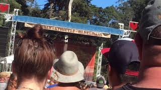 Nick Lowe and Los Straitjackets - Tokyo Bay (live)