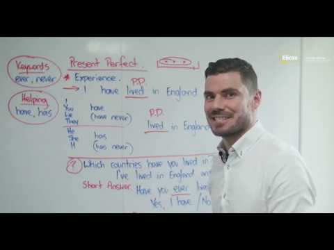 The Present Perfect Tense (Experience)