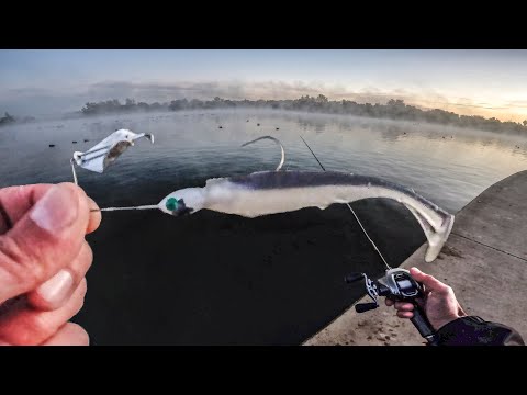 INSANE Topwater Bass Fishing with Tiny Buzzbait ! (Strike King Mini Pro-Buzz)