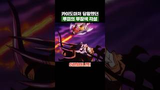 원피스) 카이도마저 당황했던 루피의 무장색 각성