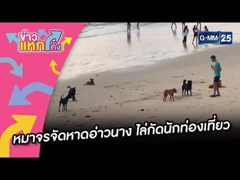 คลิกเพื่อดูคลิปวิดีโอ