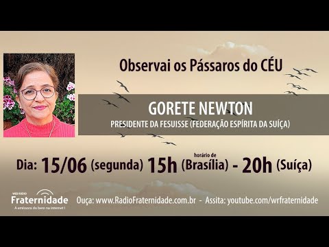 OBSERVAI OS PÁSSAROS DO CÉU video