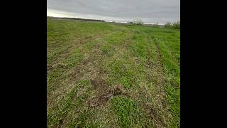 Kankakee County Sheriff's Office Investigating Criminal Damage to Farm in Limestone Township (4/26)