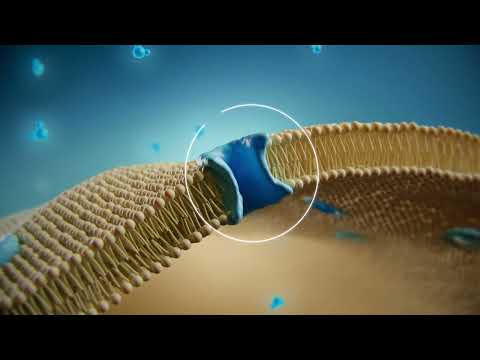 TALETE™ - Technical video