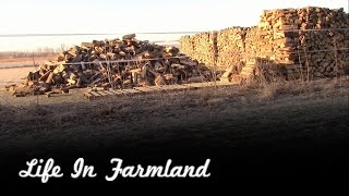 How I Stack My Firewood and Why I Do it This Way
