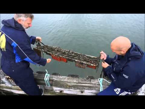 CHANGE - Changing antifouling practices in the Baltic sea. Inspection of test panels 2014 09 09