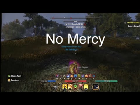 ESO Mag Plar Law Dogs Dueling and Open world meta PVP builds for the mag plar