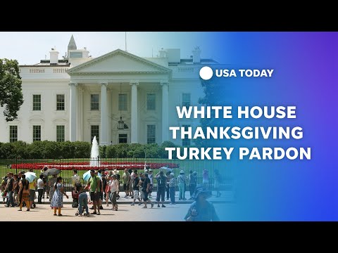 Watch live Annual White House Thanksgiving turkey pardon USA TODAY