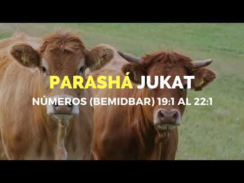 PARASHÁ - PORCIÓN SEMANAL DE LA TORÁH # 39 JUKAT - DECRETOS - 02-07-22