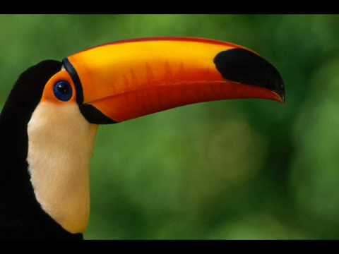 Jepajoo - MegaErzi feat Pärä