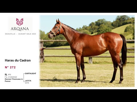 Arqana August sale 2023 - N°272 - F. / Earthlight x Latita présentée par le Haras Du Cadran