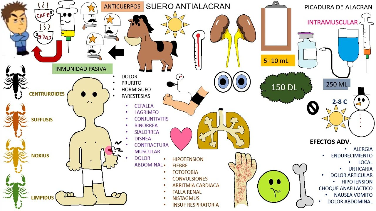 Farmacologia: Suero Antialacran
