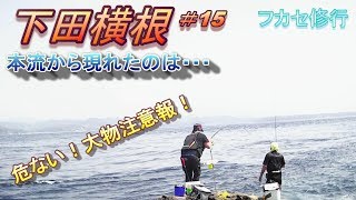 ＃15【下田横根】6月6日大物HIT！釣りモン日記♪