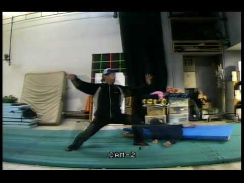 中国武術・崩し技