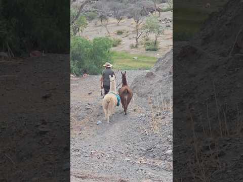 Purmamarca Jujuy 🇦🇷 🇦🇷🇦🇷