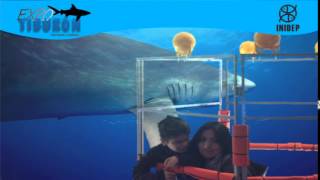 DIA 3 Expo Tiburon126