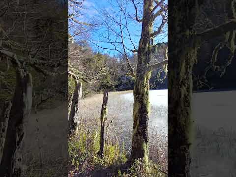 No hace frio si sale el SOL ☀️ #invierno 2026 #short #paisajes #naturaleza #patagoniaargentina #asmr