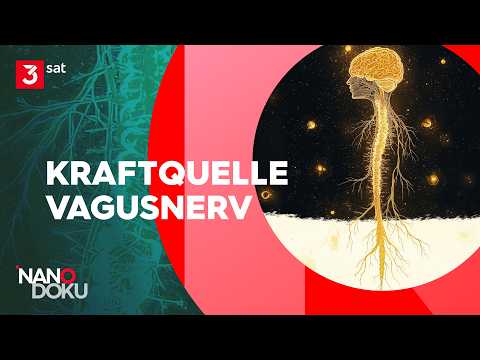 Unterschätzter Schlüssel zur Selbstheilung | Ganze Doku