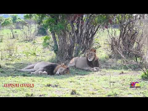 SOPA PRIDE & SRIMAN NARAYANA MANTRA