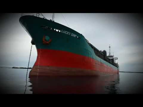 Lucky Ship engine check