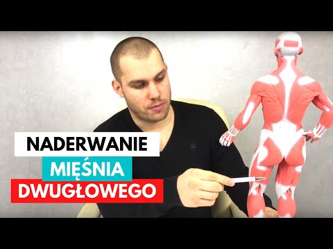 Trening dla mięśni ramion pompowanie Orbitrek jakie grupy mięśniowe