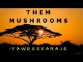 Itawezekanaje By Mushroom