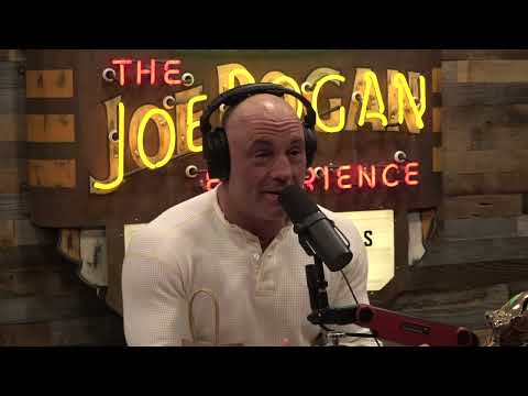Joe Rogan Experience #1893 - Will Harris