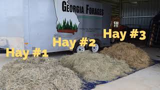 Understanding and Using a Forage Test Report