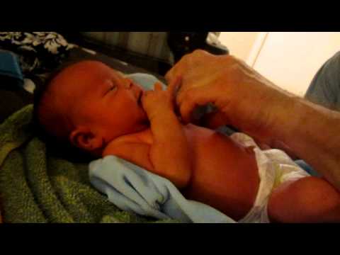 Ariadne Raven at 4 days old