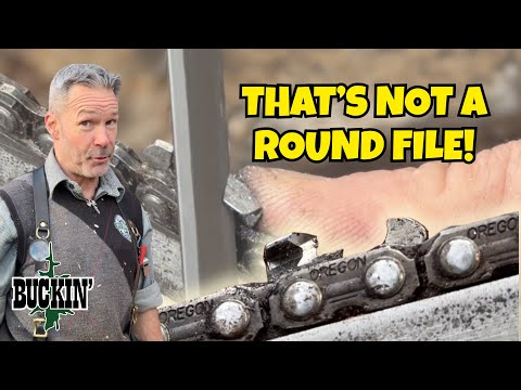 Kettensägen schärfen! Fortgeschrittene Technik. Lohnt es sich?