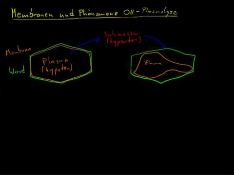 Membranen und Phänomene 08 - Plasmolyse