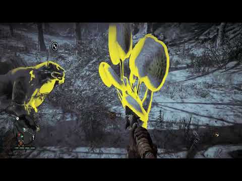 Far Cry Primal Walkthrough Part 40 No Commentary