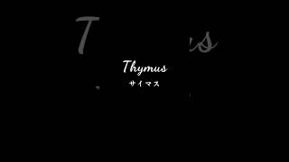 最初で最後の歌みた #flos #shorts