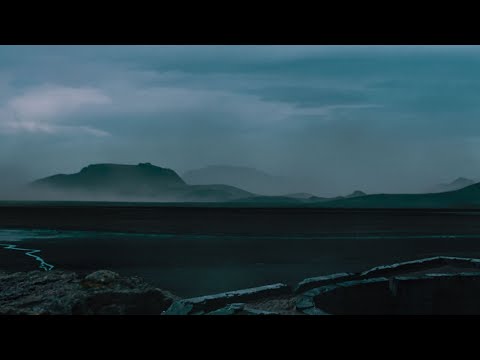 Trailer-Vorschau: Die Rüden