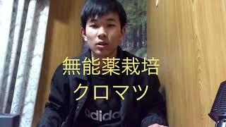 「鬼滅の刃」UFOキャッチャーの成果 開封動画。